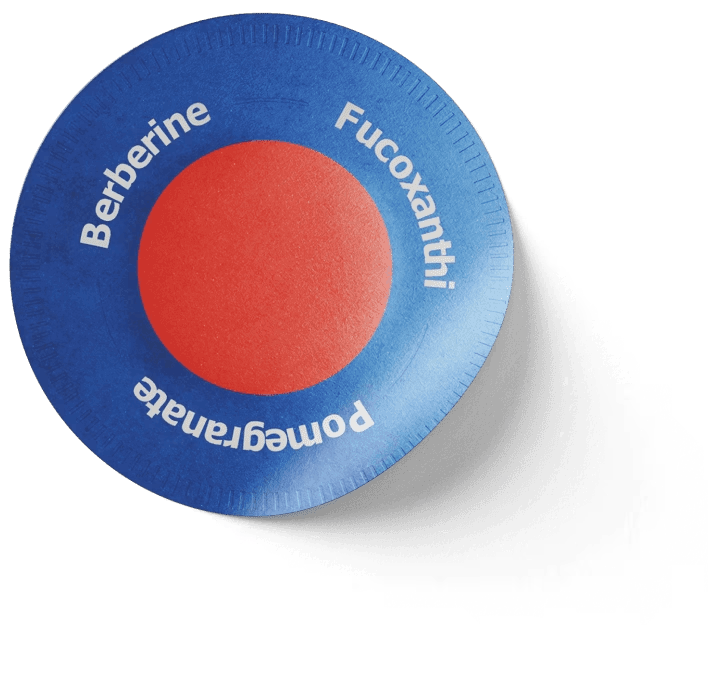 Purisaki Berberine Patches